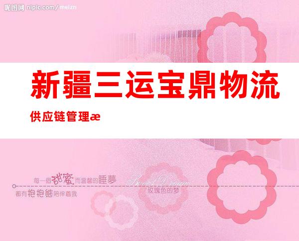 新疆三运宝鼎物流供应链管理有限责任公司