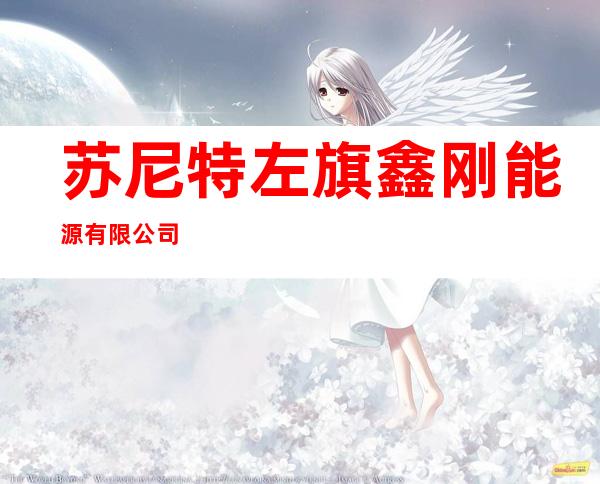 苏尼特左旗鑫刚能源有限公司